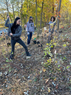 Fall 2024 Tree Planting at North Park
