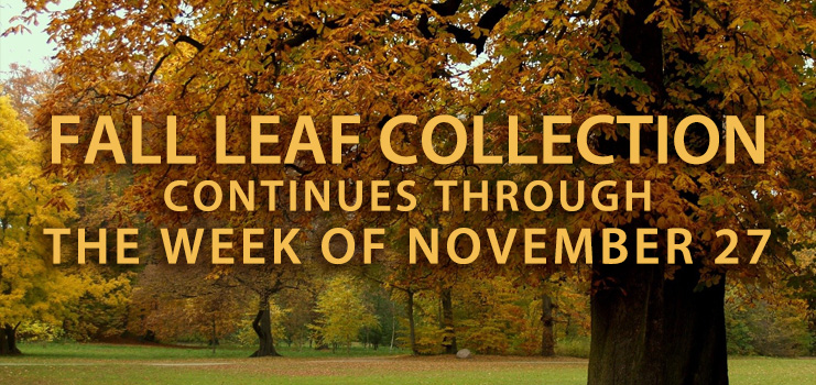 Index of /wp-content/uploads/fall-leaf-collection