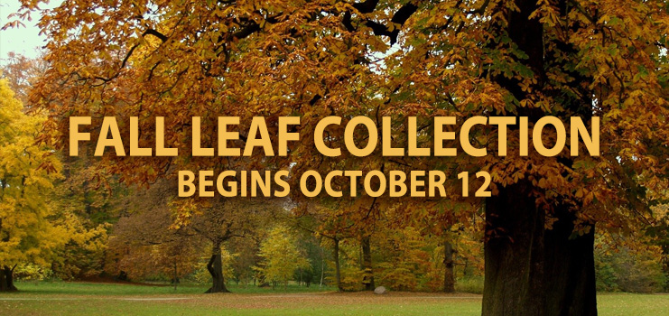 Fall Leaf Collection runs October 12 through November 25