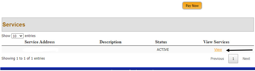 View Electric or Water Usage Screen