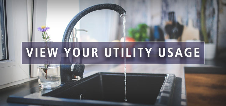 Online Tools Available to Help You Track Your Utilities