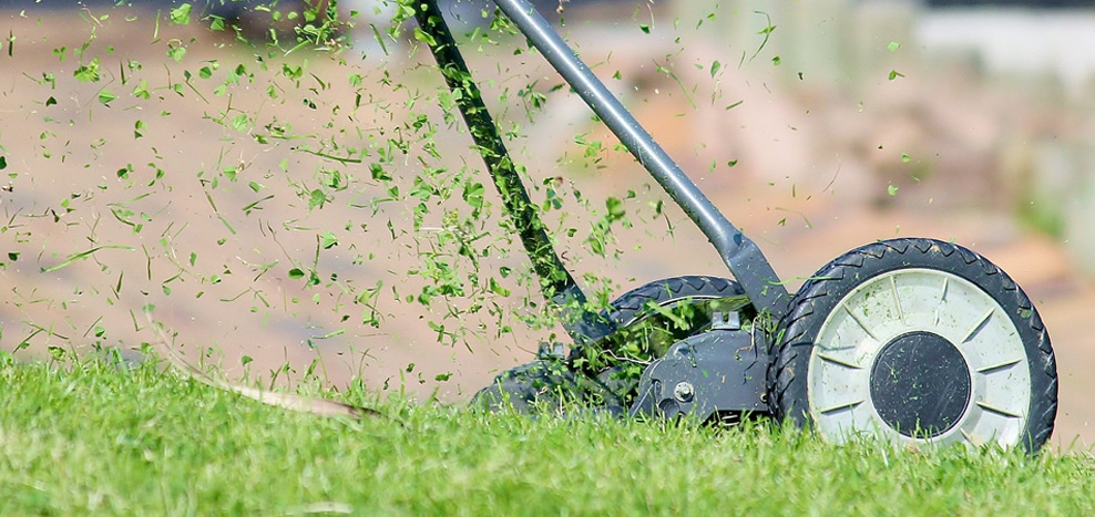 Lawnmower cutting grass
