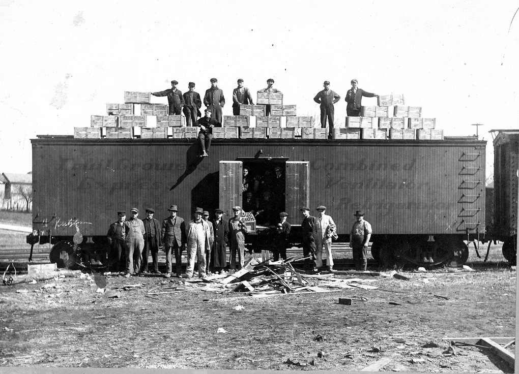 Unloading a Refrigerator Car